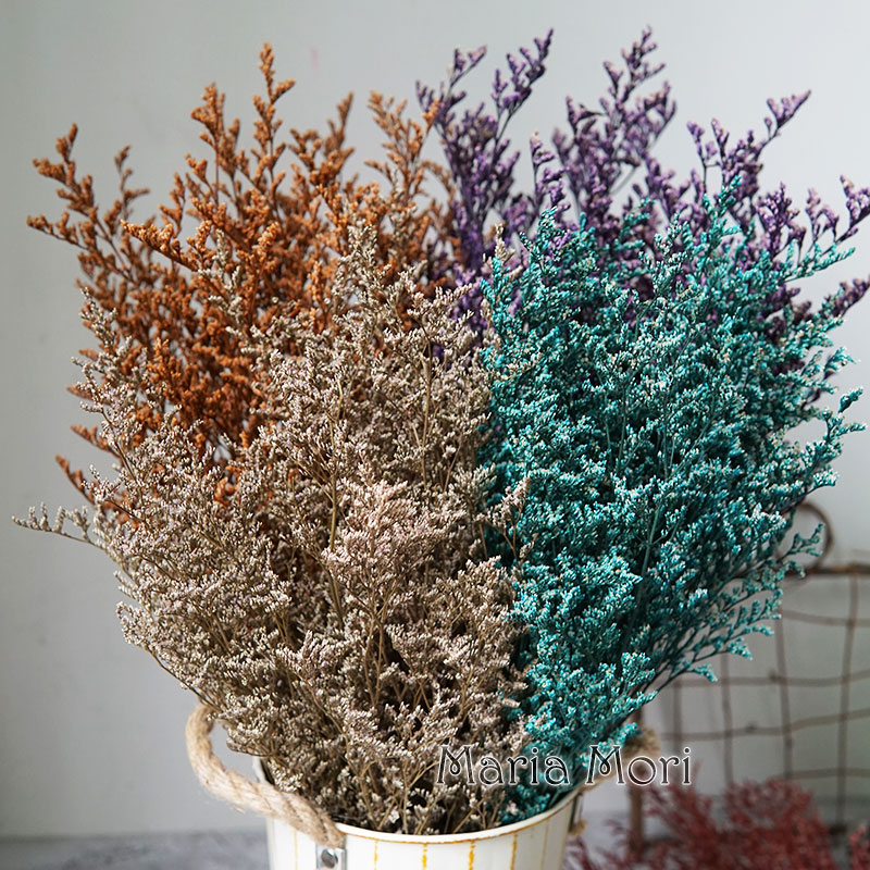 70g/Preserved Valentine's Gras - Dried Flower Bulk ulasan dan harga