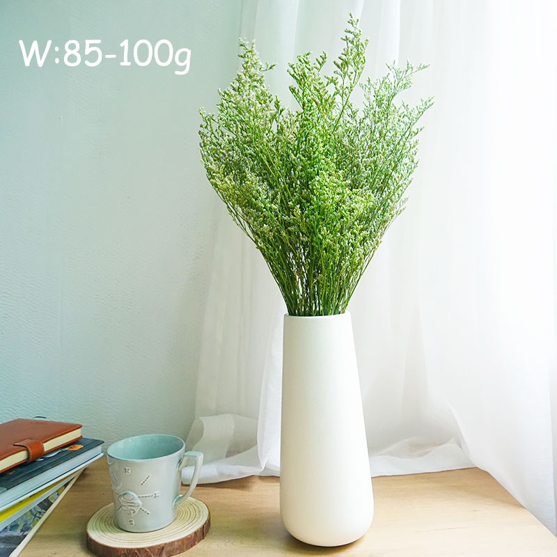 70g/Preserved Valentine's Gras - Dried Flower Bulk ulasan dan harga