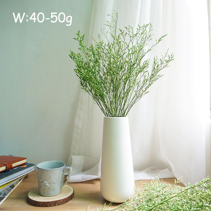 70g/Preserved Valentine's Gras - Dried Flower Bulk ulasan dan harga