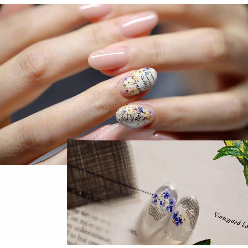 Mixed Small Dried Flowers Nail - Dried Flower Bulk ulasan dan harga